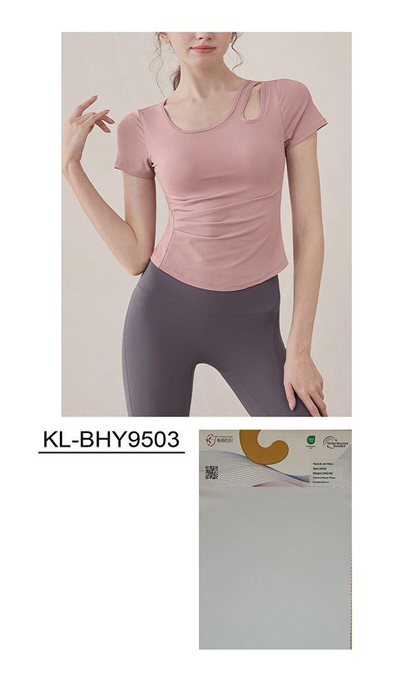 KL-BHY9503