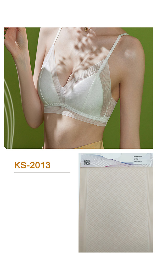 KS-2013